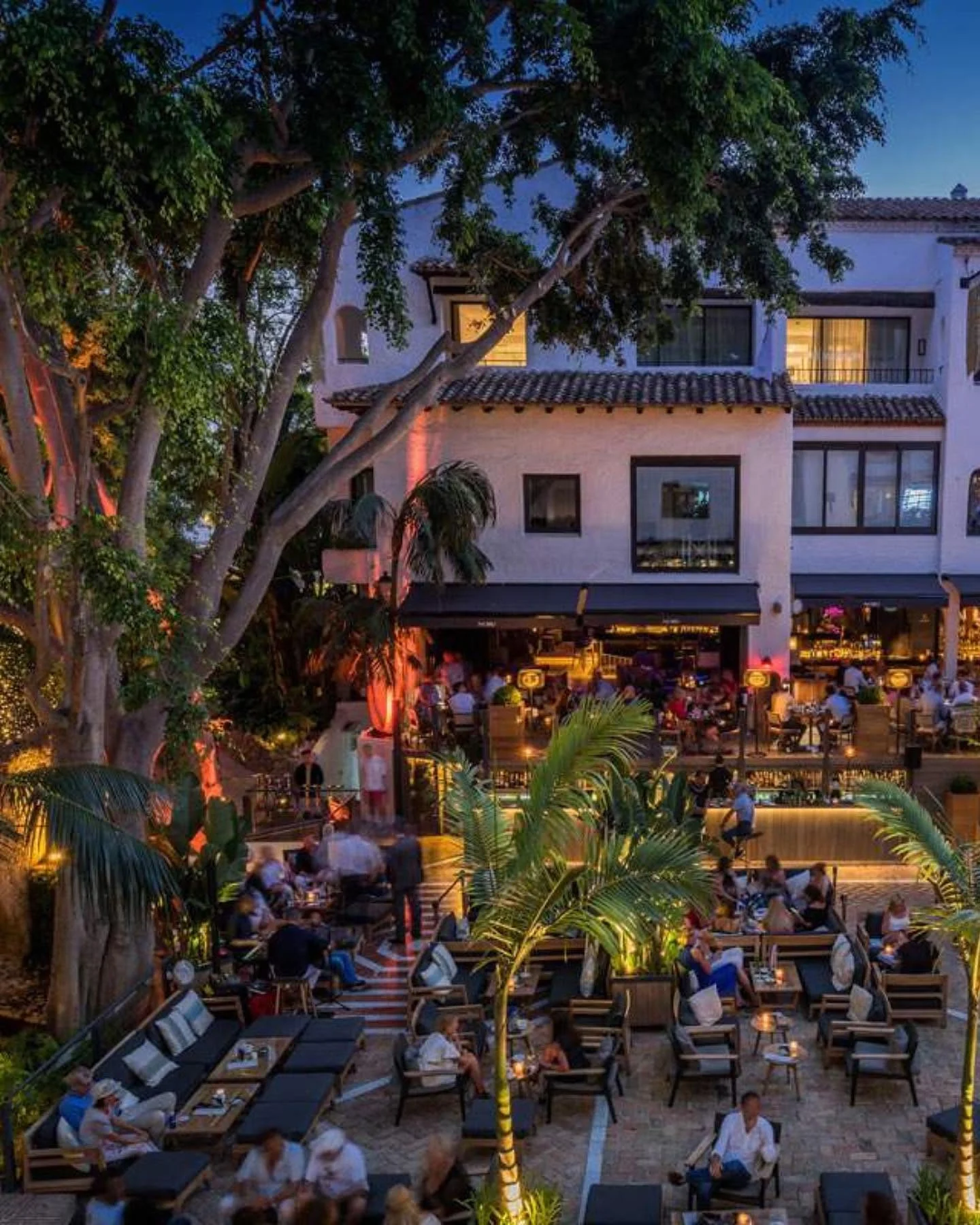 Vue d'ensemble à l'heure bleue : terrasses, palmiers éclairés, façade blanche et grand ficus. Le décor peint d'Aldo Gigli se trouve à l'intérieur de cette maison ouverte sur les jardins de Marbella.