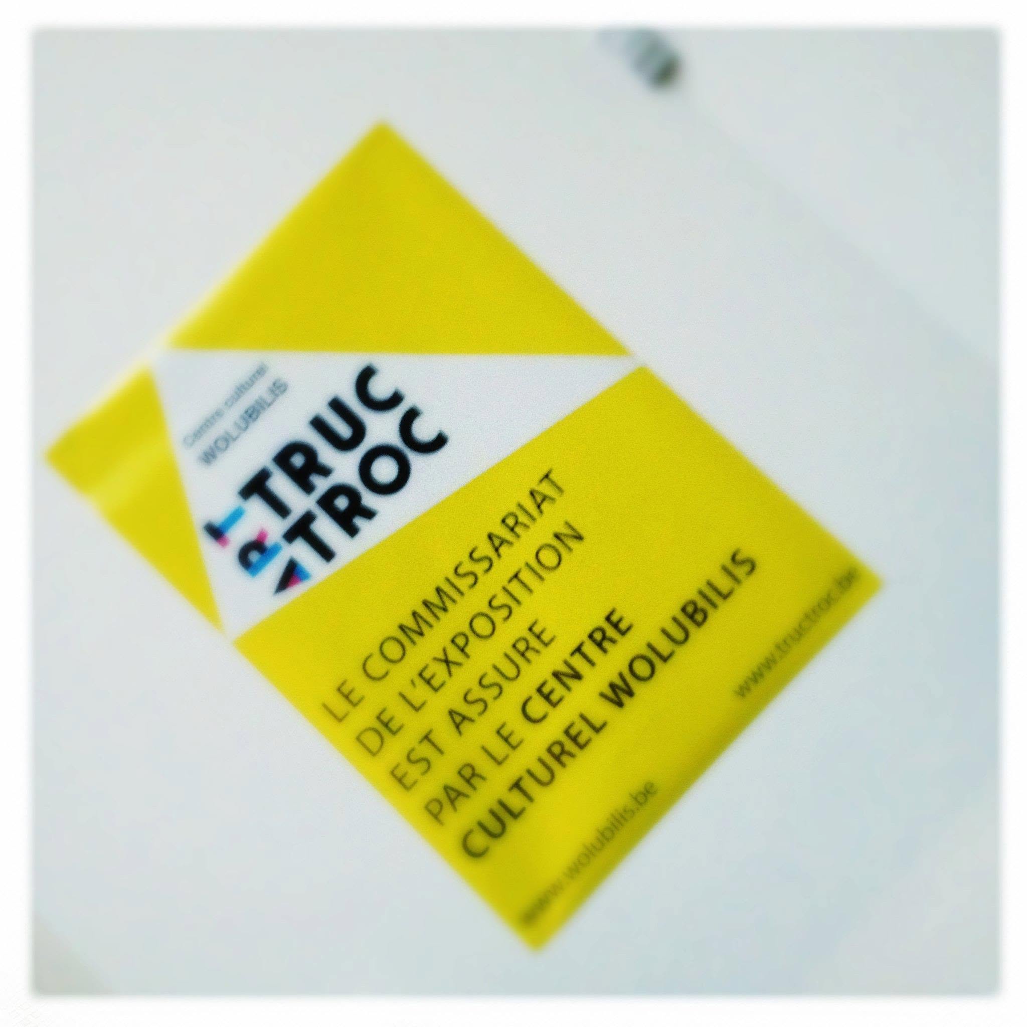 Art Truc Troc, Bozar, Bruxelles, du 1er au 3 février 2013.